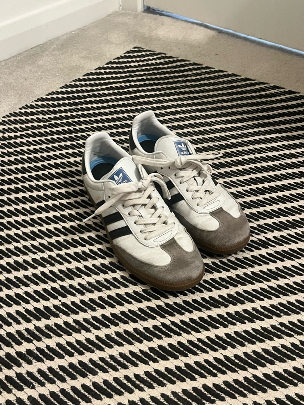 Sambas. Make an offer!